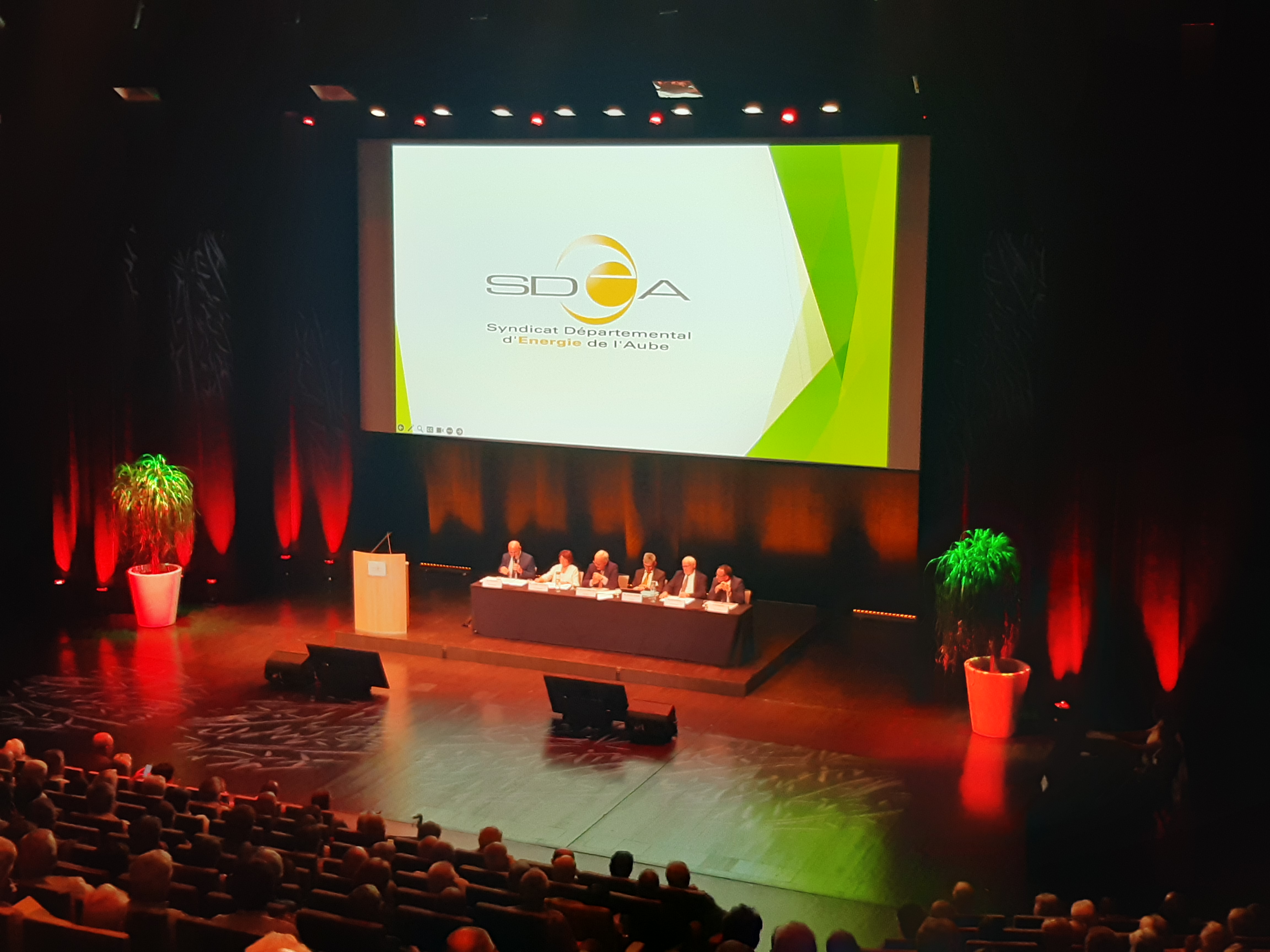 Comité du SDEA du 17 juin 2025